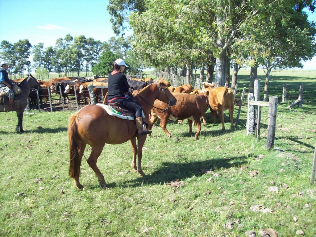 Estancia Turistica La Amorosa Trinidad Quarto foto