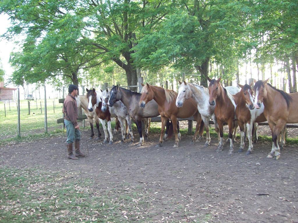 Estancia Turistica La Amorosa Trinidad Quarto foto